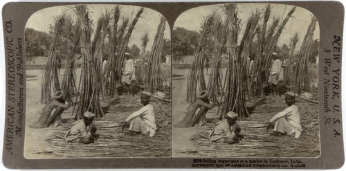 Indien.India.Lucknow.Selling