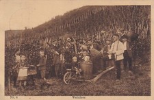 Oberdollendorf Königswinter AK 1921 Weinlese Helfer Nordrhein-Westfalen 2505142