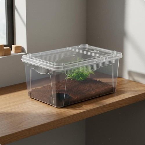 Reptilien aufzuchtbox aus - aufzuchtbox,