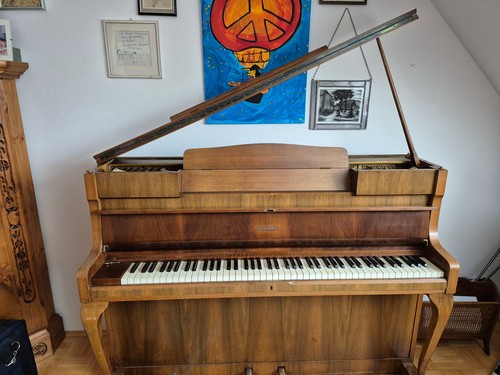 Schimmel klavier gebraucht - klavier,
