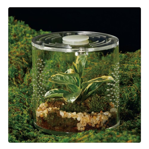 Acrylic terrarium for - terrarium,