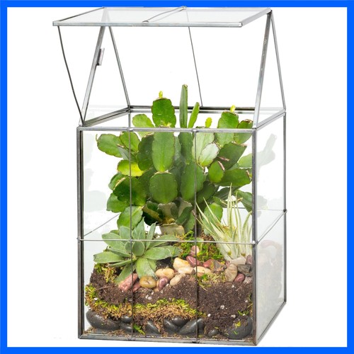Stylish geometric terrarium - stylish,