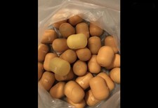 40 Leere Ü - Eier Kapseln