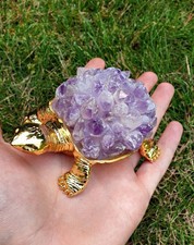 Amethyst Schildkröte –