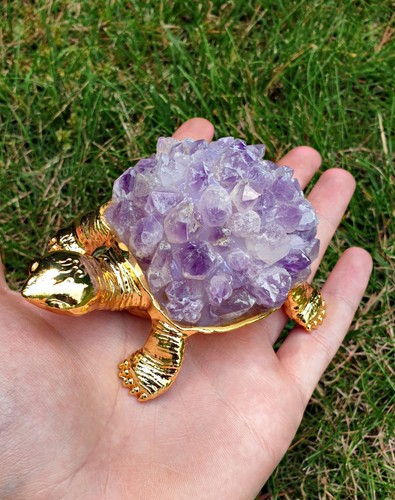 Amethyst schildkröte - schildkröte, –
