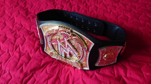 Wwe championship spinner - championship,
