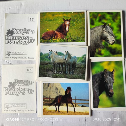 Sticker pferde ponys - 90,