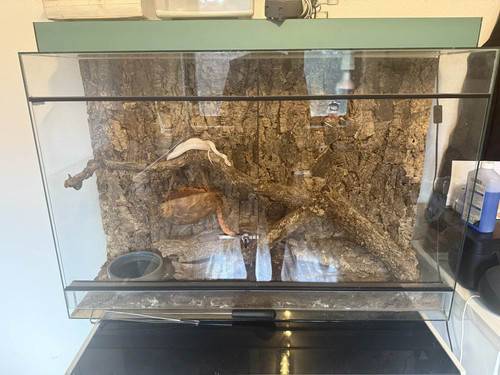 Großes terrarium inclusive - großes,