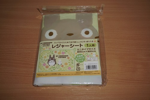 Neighbor totoro - neighbor,