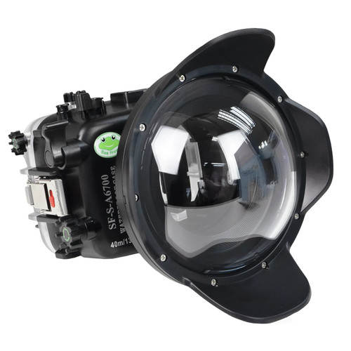 Fotograf unterwasser seafrogs - fotograf, unterwasser-