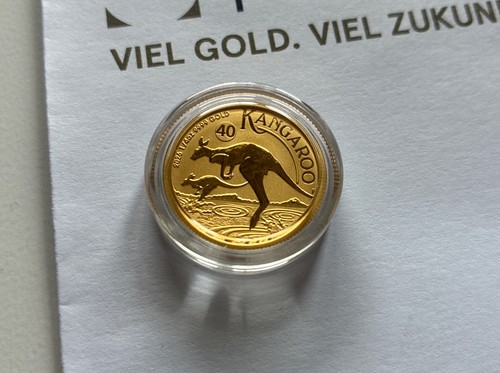 Känguru kangaroo - känguru,
