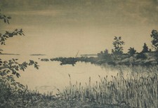 Uferlandschaft am Dümmer See