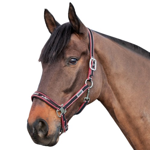 Eskadron halfter double pin - double,