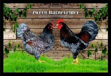Fußmatte Schmutzfangmatte Hühner Zwerg Barnevelder b. blaudoppeltges. F1414
