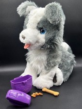Furreal Friends Hund Ricky mit Zubehör Hasbro Plüschtier funktioniert Kinder