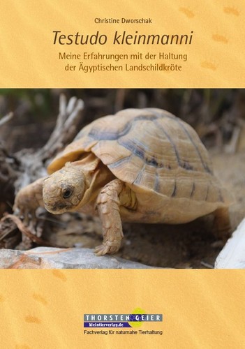 Testudo kleinmanni meine - testudo,