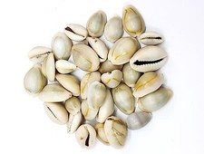 Bulk Großhandel geschnittene