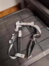 Hundegeschirr reflektierend