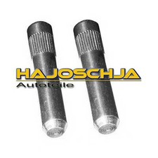 2x Türbolzen Schanierstift