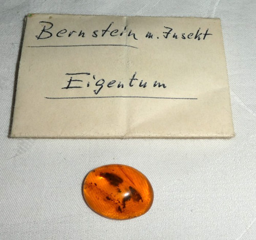 Für schmuck edelstein - für,