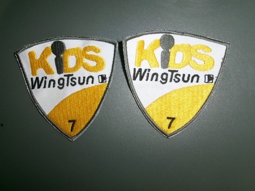 Wing tsun stufe - 2x, 7