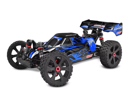 Team corally asuga xlr - team,