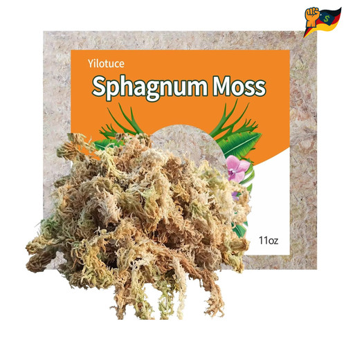 Sphagnummoos 310g orchideen - 310g,