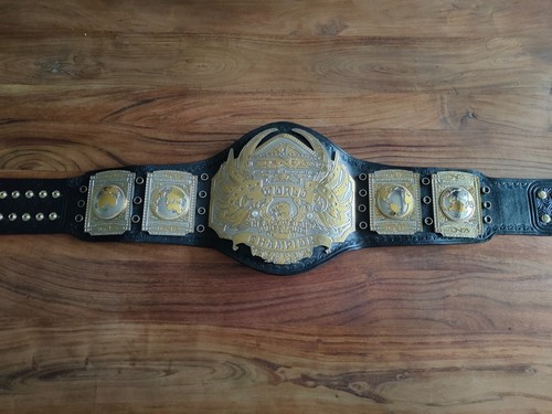 Tna world heavyweight - world,