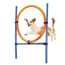 Agility Reifen Set für Hunde