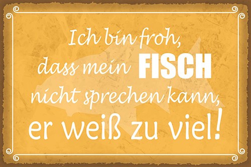 Blechschild 18x12 froh - , mein