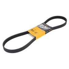 Keilrippenriemen CONTINENTAL