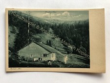 AK 8974 Oberstaufen Staufner-Haus Rinder Hornbach-Alm Allgaeuer 1934
