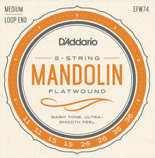 D'Addario EFW74 flatwound -