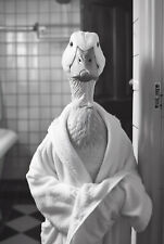 Retro Blechschild ENTE DUCK 30