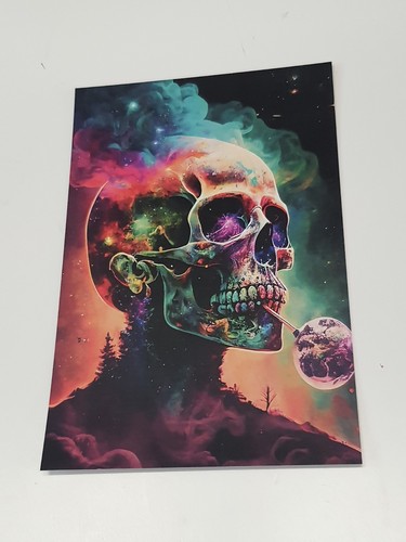 Totenkopf skull rechts - totenkopf,
