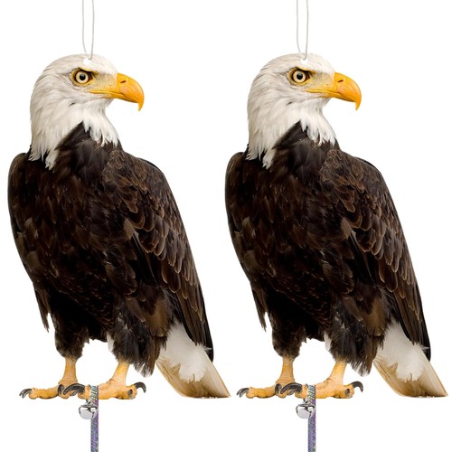 Vogelabwehr attrappen - vogelabwehr,