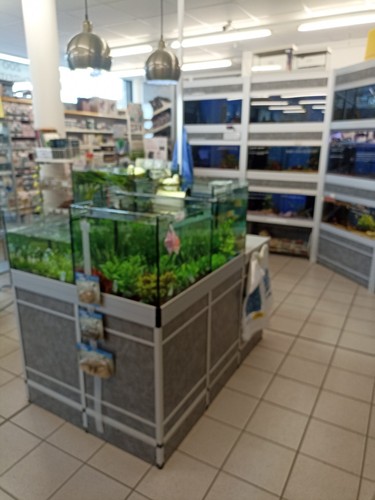 Wasserpflanzen