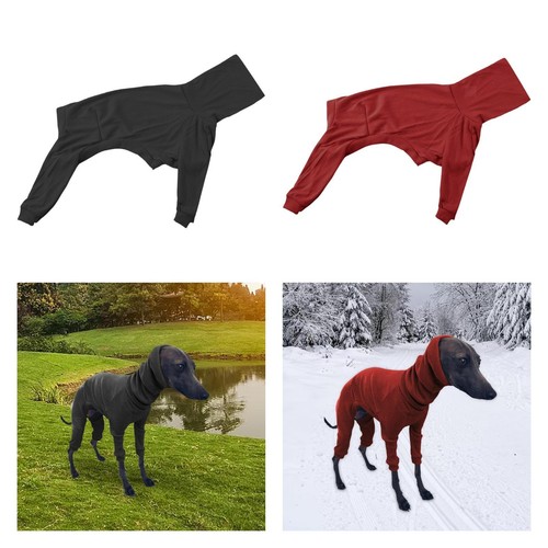 Herbst winter haustier - herbst/winter,