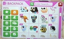 Adopt mystery pet - mystery,