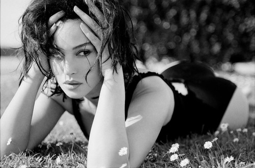 Monica bellucci hochglanz foto - monica,