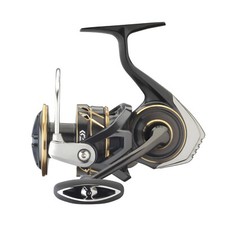 Daiwa 23 Caldia SW Meeresrolle