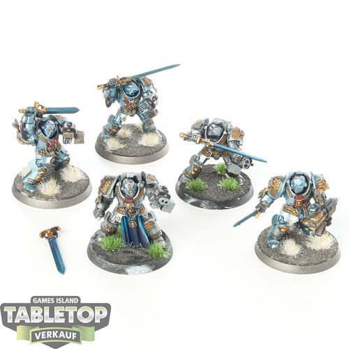 Grey knights 5x brotherhood - grey,