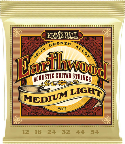 Ernie ball earthwood - ernie,