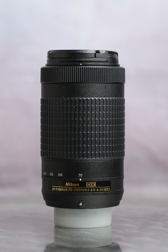 Nikon 70 300mm - nikon, dx