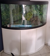 Aquarium Set mit  LED Licht und Deko