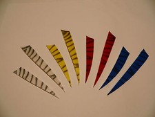 Naturfedern Zebra 12 o. 25