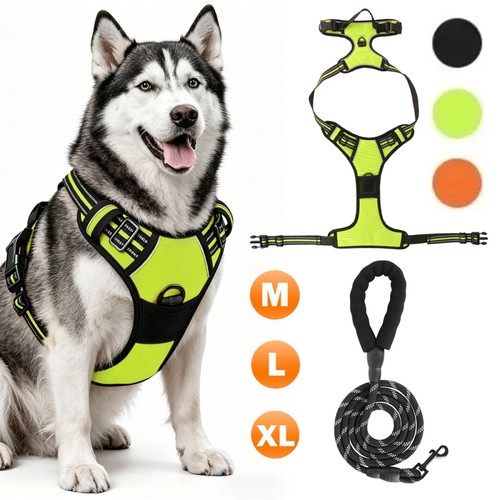 Hundegeschirr mit leine - hundegeschirr,