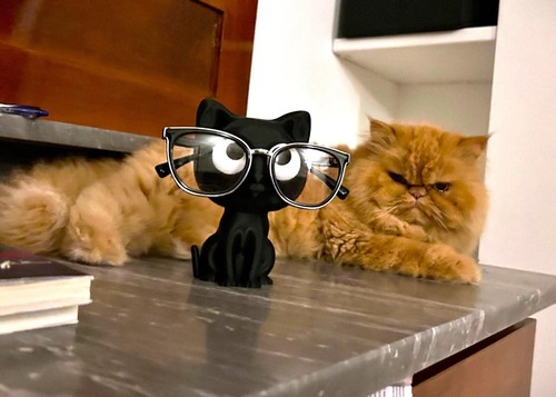 Katzen brillenständer - katzen,