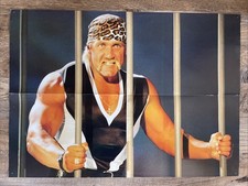 HULK HOGAN / HULKAMANIA (3.)- Vintage Poster aus WWF/WWE/WCW MAGAZIN