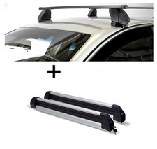 Skiträger Silver Ice